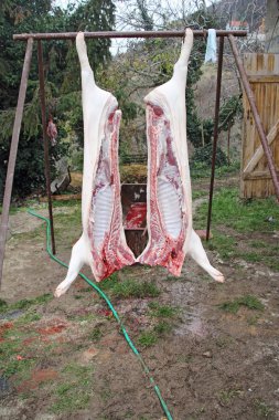 Boğazlanan pigs4