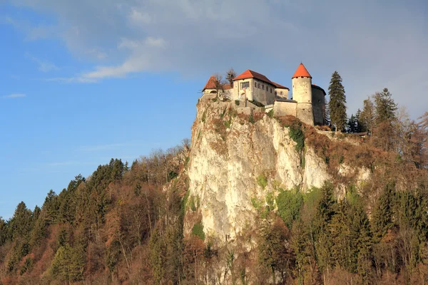 Castillo de Bled3 —  Fotos de Stock