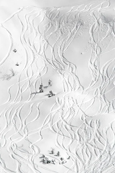 Skiing traces — Stock Photo, Image