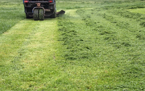 Mowing grass — Stock Photo, Image