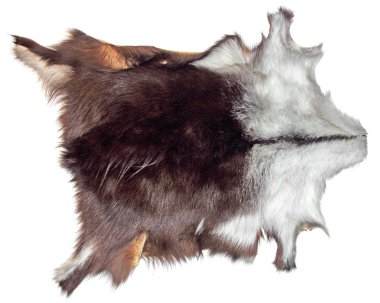 Chamois deri