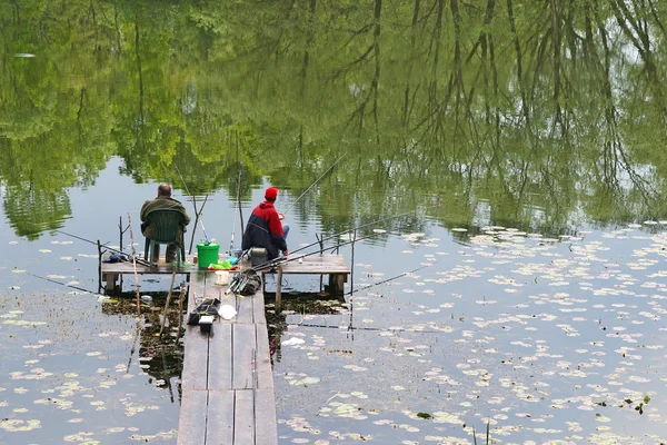 Fishing in a lake — Stock Photo, Image
