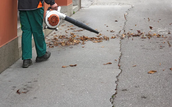 Collecting leaves — Stok fotoğraf