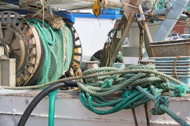 Balık nets3
