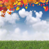 Картина, постер, плакат, фотообои "autumn background", артикул 32334319