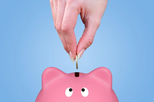 Hand en piggy bank — Stockfoto