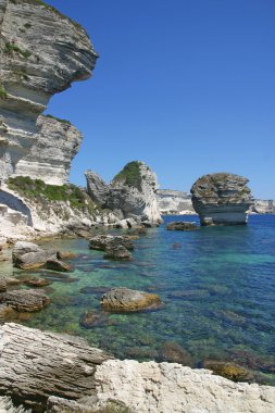 Cliff Bonifacio