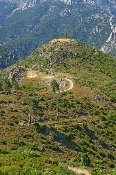 Alte Festung Korsika — Stockfoto