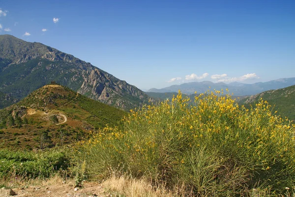 Korsika'da manzara — Stok fotoğraf
