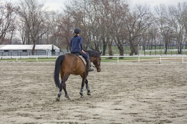 Horsewoman — Stock Photo, Image