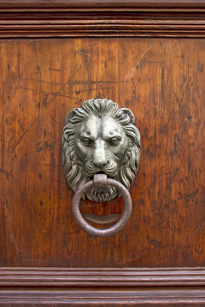 Old Door knoker — Stock Photo, Image
