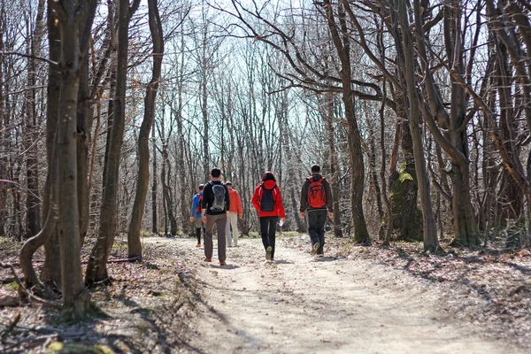 Randonnées dans les bois — Photo