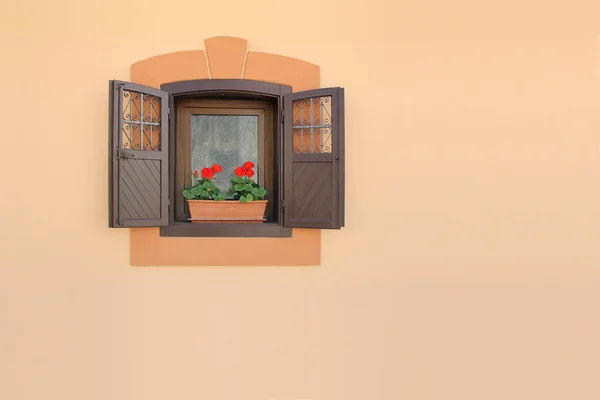 Flowers on a window — Stock Photo, Image