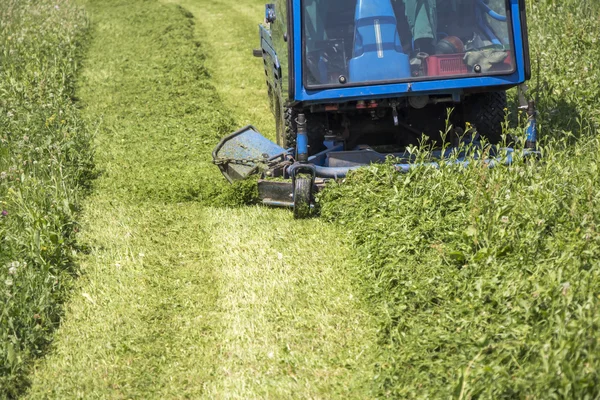 Memotong rumput — Stok Foto