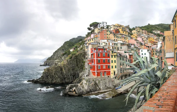 Riomaggiore — Foto de Stock