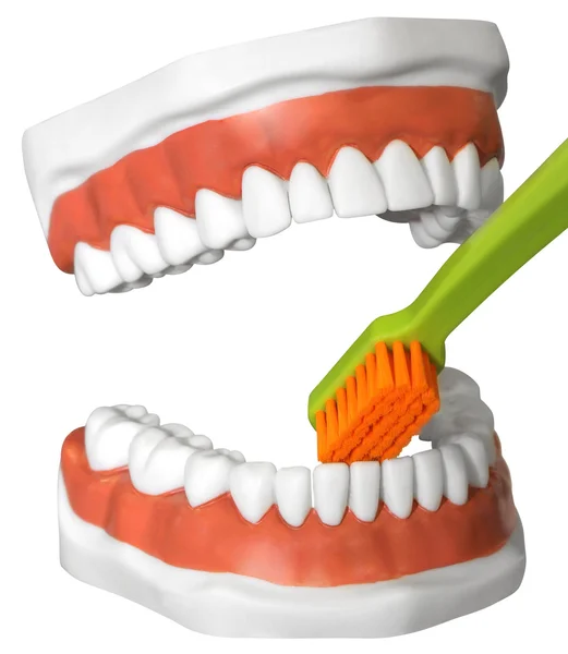 Dientes y cepillo de dientes — Foto de Stock