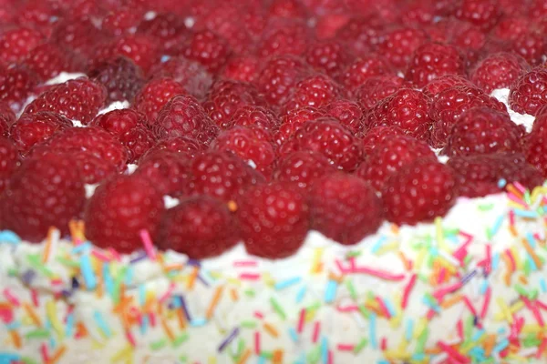 Torta al lampone — Foto Stock