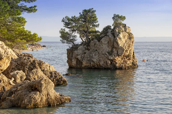 Brela Dalmaçya Croati Deki Punta Rata Plajında Küçük Bir Taş — Stok fotoğraf