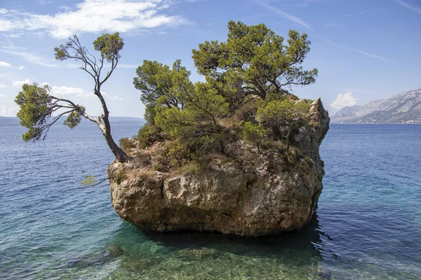 克罗地亚达尔马提亚Brela的Punta Rata海滩上的小石岛 — 图库照片