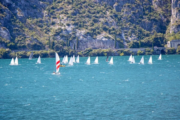 Muitos Pequenos Veleiros Navegam Lago Garda Itália — Fotografia de Stock