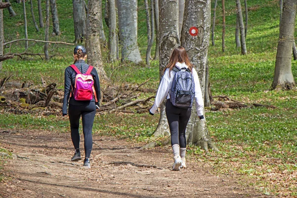 Zwei Junge Mädchen Laufen Auf Wanderweg Wald — Stockfoto