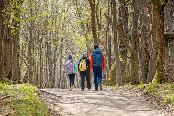 森の中のハイキングコースを歩く娘を持つ若いカップル — ストック写真