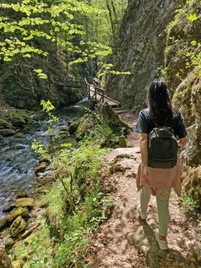 Young girl, walk on Hiking trail with wooden bridges over river Kamacnik, Gorski kotar, Croatia