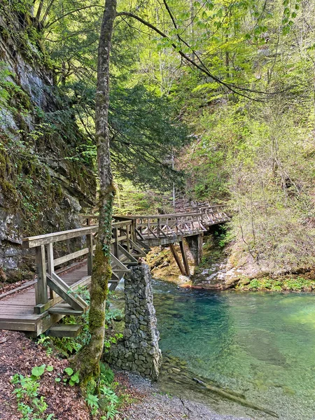 Wandelpad Met Houten Bruggen Kamacnik Gorski Kotar Kroatië — Stockfoto