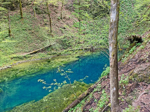 Hiking Trail Wooden Bridges River Kamacnik Gorski Kotar Croatia — Zdjęcie stockowe