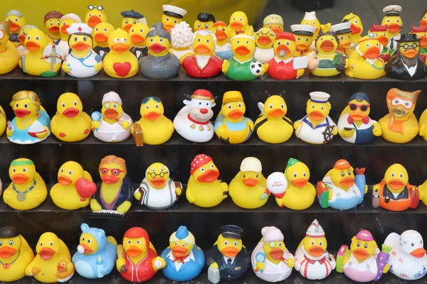 Amsterdam Netherlands June 2022 Amsterdam Duck Store Variety Funny Rubber — 图库照片