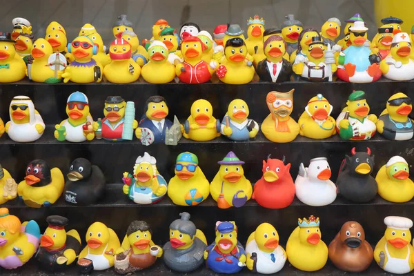 Amsterdam Netherlands June 2022 Amsterdam Duck Store Variety Funny Rubber — Stock Photo, Image