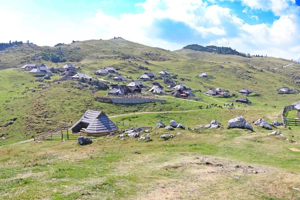 Herdsmens Huts Cows Big Mountain Plateau Slovenia Kamnik Savinja Alps — Stockfoto