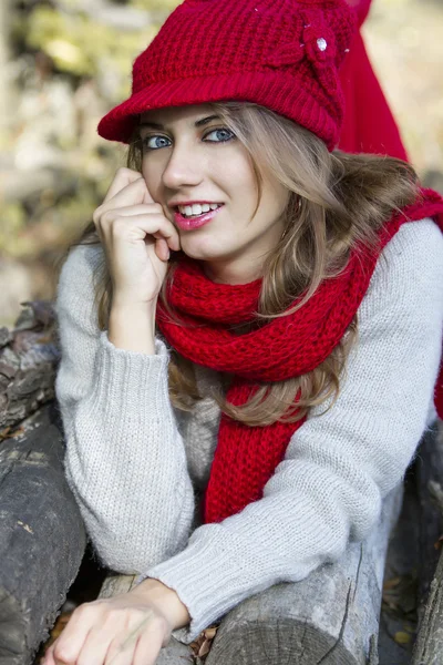 Chica con sombrero rojo y bufanda roja en otoño Imagen de stock