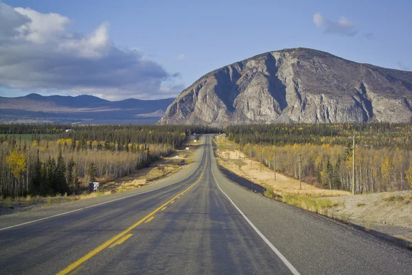 Alaska highway in de buurt van haines junction — Stockfoto