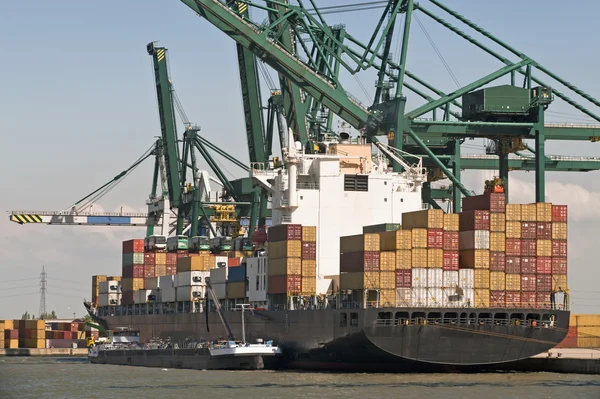 Containerschip — Stockfoto