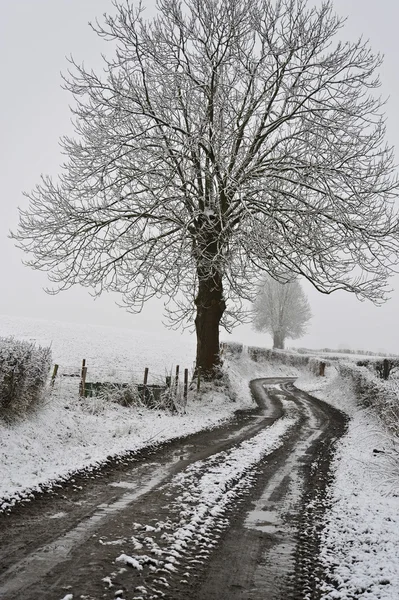 Paisaje invierno —  Fotos de Stock