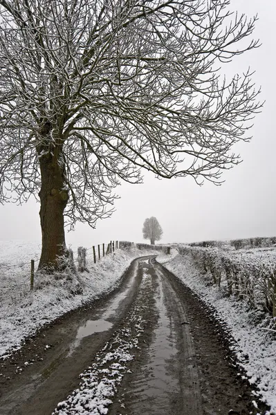 Paisaje invierno —  Fotos de Stock