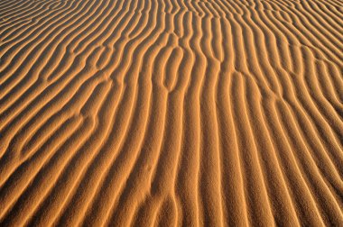 Sand dune, African desert, close-up