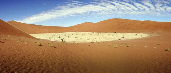 纳米布沙漠 sossusvlei、 全景 — 图库照片