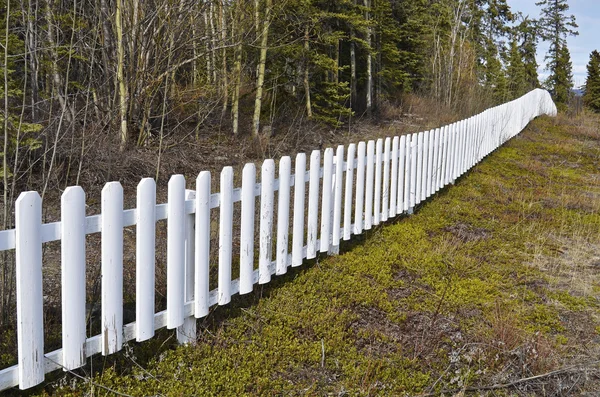 White fence — Stock Photo, Image