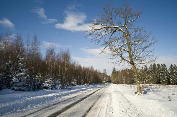 Vinterväg — Stockfoto