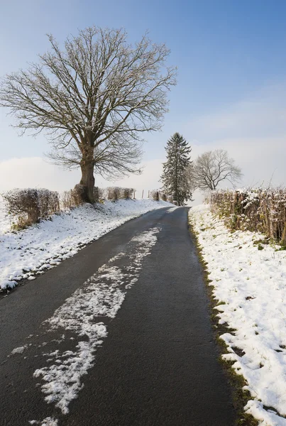 Winterweg — Stockfoto