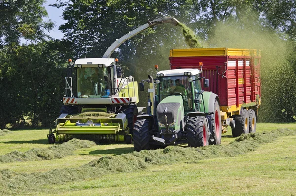 Haymaking, colheitadeira de forragem — Fotografia de Stock