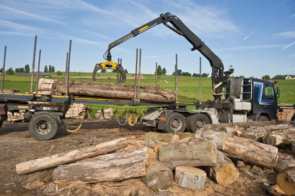 Truck crane lastning timmer — Stockfoto