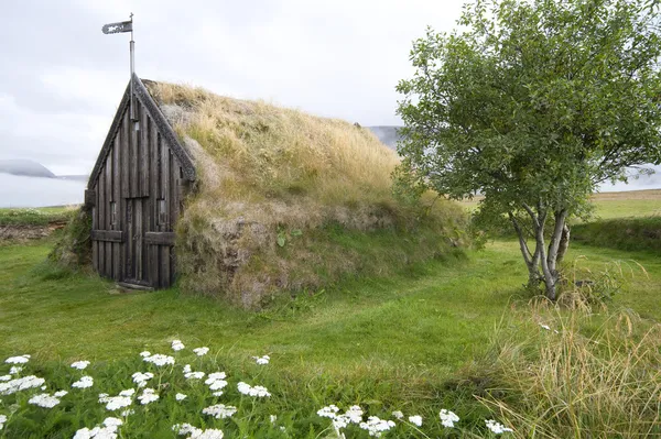 Darń, Kościół, groef, Islandia — Zdjęcie stockowe