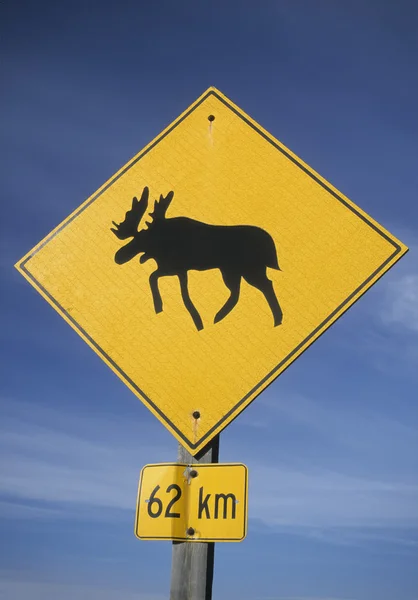 驼鹿的交通标志 — 图库照片