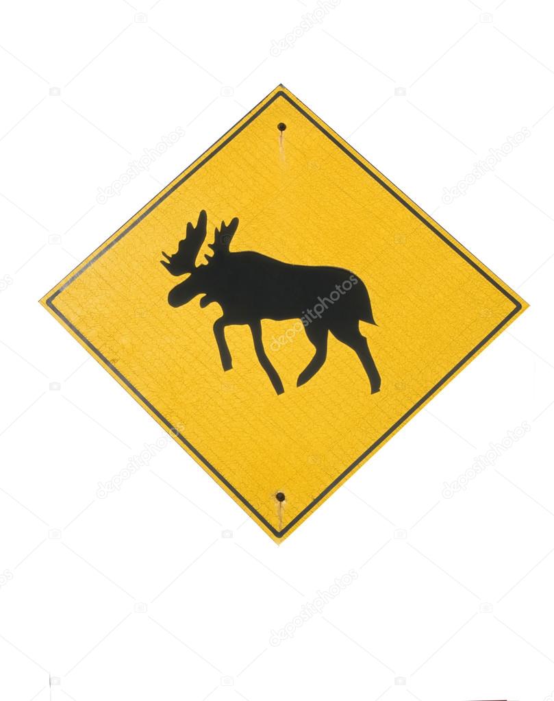 Moose traffic sign