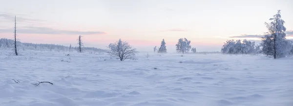 Kış harikalar diyarı panorama — Stok fotoğraf