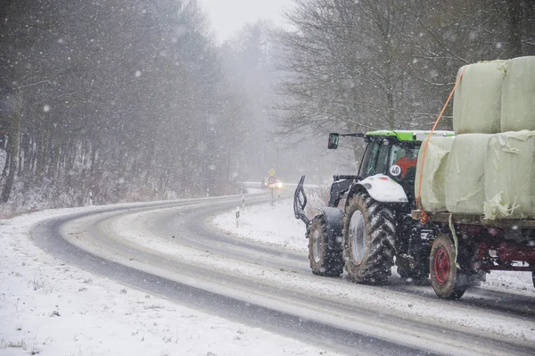 Transporte de ganado en carretera de invierno — Foto de Stock