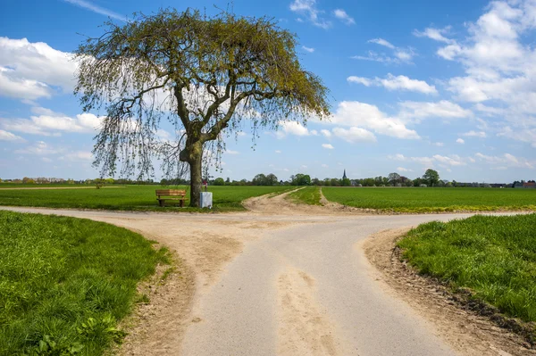 Cruzar caminho — Fotografia de Stock